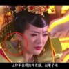 天齐网首页正版保真版